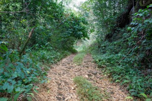 500-acre-lot-in-montego-bay-jamaica-leyden-lottery-jamaica-ushombi-11