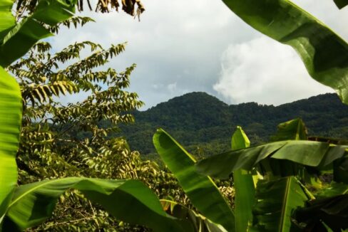 500-acre-lot-in-montego-bay-jamaica-leyden-lottery-jamaica-ushombi-2