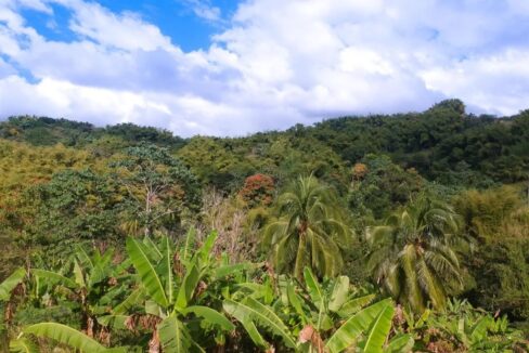 500-acre-lot-in-montego-bay-jamaica-leyden-lottery-jamaica-ushombi-3