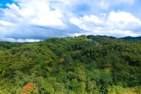 500-acre-lot-in-montego-bay-jamaica-leyden-lottery-jamaica-ushombi-4