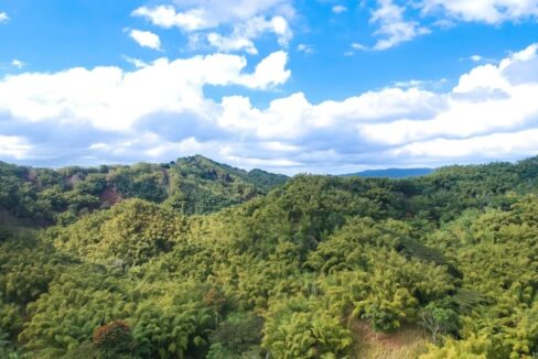 500-acre-lot-in-montego-bay-jamaica-leyden-lottery-jamaica-ushombi-6