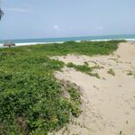 beachfront-lot-in-cabarete