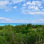 jimmy-hill-14-acre-lot-in-great-exuma