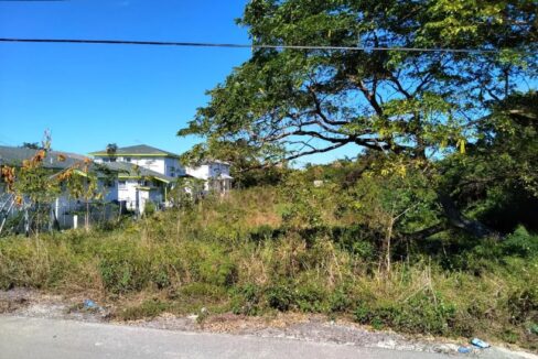 1-2-acre-lot-barren-court-lot-in-nassau-paradise-island-nassau-bahamas-ushombi-3