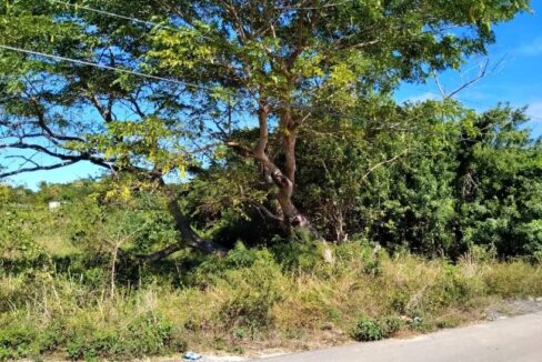 1-2-acre-lot-barren-court-lot-in-nassau-paradise-island-nassau-bahamas-ushombi-4