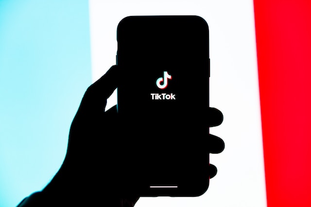 tiktok-and-caribbean-real-estate-discovering-paradise-through-social-media-ushombi