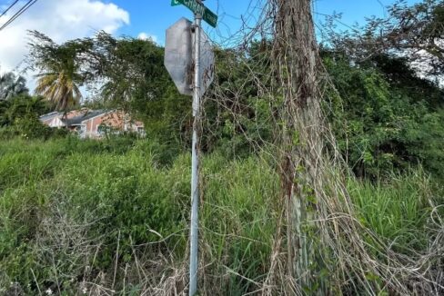 tropical-gardens-lot-in-the-bahamas-tropical-gardens-nassau-bahamas-ushombi-6