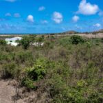 16a-sallys-fancy-5-acre-lot-sallys-fancy-st-croix-us-virgin-islands-ushombi