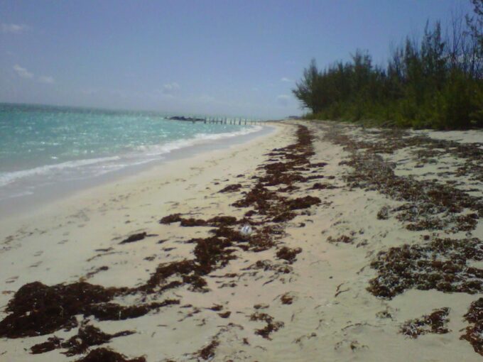 beachfront-pumpkin-bluff-lot-whitby-north-caicos-turks-and-caicos-ushombi