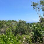 oceanview-2-acre-lot-in-st-ann-jamaica-ocho-rios-jamaica-ushombi