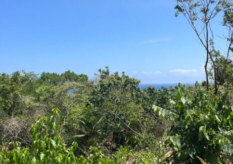 oceanview-2-acre-lot-in-st-ann-jamaica-ocho-rios-jamaica-ushombi-1