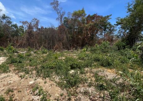 oceanview-2-acre-lot-in-st-ann-jamaica-ocho-rios-jamaica-ushombi-2