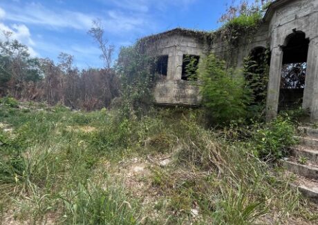 oceanview-2-acre-lot-in-st-ann-jamaica-ocho-rios-jamaica-ushombi-6