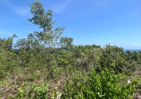 oceanview-2-acre-lot-in-st-ann-jamaica-ocho-rios-jamaica-ushombi-7