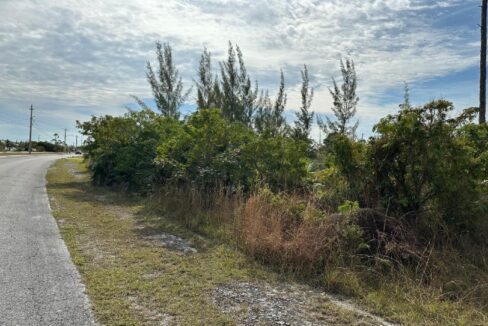 new-33-acre-lot-in-freeport-freeport-grand-bahama-bahamas-ushombi-4