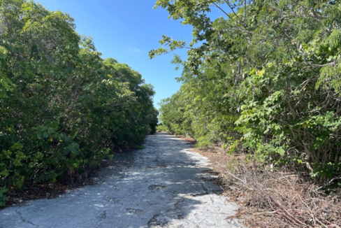 stella-maris-serene-hilltop-0-33-acre-lot-stella-maris-long-island-bahamas-ushombi-3