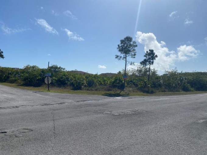 freeport-1-acre-corner-lot-freeport-grand-bahama-bahamas-ushombi