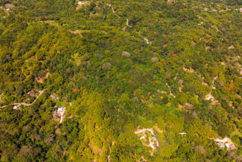 lewisburgh-37-acre-lot-in-jamaica=port-maria-jamaica-ushombi-3