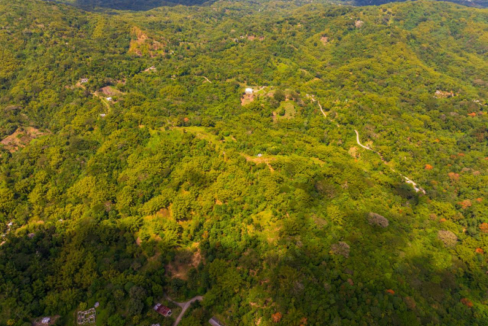 lewisburgh-37-acre-lot-in-jamaica=port-maria-jamaica-ushombi-4