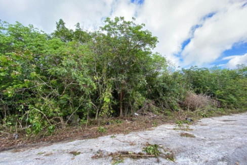 rocky-point-road-lots-291-292-freeport-freeport-grand-bahama-bahamas-ushombi-5