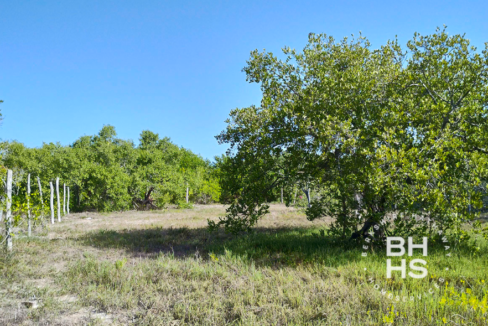 isla-holbox-0-23-acre-lot-quintana-roo-isla-holbox-mexico-ushombi-3