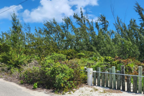 bambara-beach-1-83-acre-lot-middle-caicos-bambara-beach-turks-and-caicos-ushombi-2