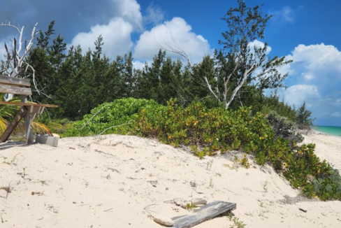 bambara-beach-1-83-acre-lot-middle-caicos-bambara-beach-turks-and-caicos-ushombi-3