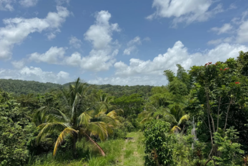 saint-ann-jamaica-7-13-acre-lots-saint-ann-jamaica-ushombi-4