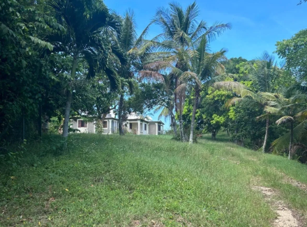 saint-ann-jamaica-7-13-acre-lots-saint-ann-jamaica-ushombi-5