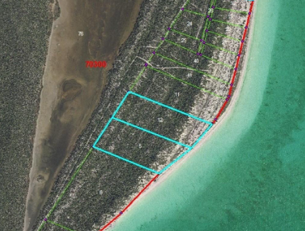 west-caicos-21-acre-oceanfront-lot-west-caicos-turks-and-caicos-ushombi-5