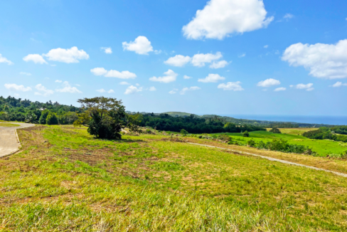 dunscombe-0-14-oceanview-lot-st-thomas-dunscombe-barbados-ushombi-3