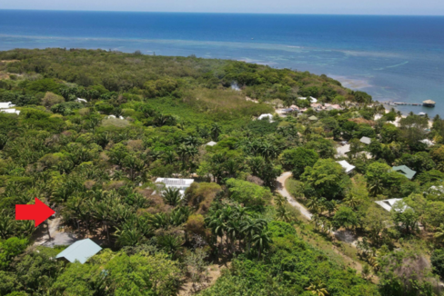 palmetto-bay-0-68-acre-lot-near-beach-roatan-palmetto-bay-honduras-ushombi-4