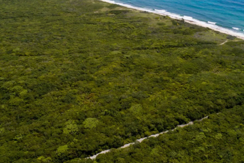 tilloo-beach-bahamas-0-34-acre-lot-elbow-cay-tilloo-beach-bahamas-ushombi-4