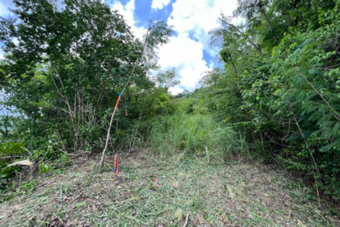 st-croix-affordable-0-4-acre-oceanview-lot-belvedere-nb-st-croix-ushombi-4