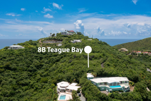 teagues-bay-oceanview-0-50-acre-lot-teagues-bay-st-croix-british-virgin-islands-ushombi-2