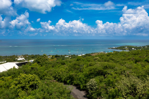 teagues-bay-oceanview-0-50-acre-lot-teagues-bay-st-croix-british-virgin-islands-ushombi-3