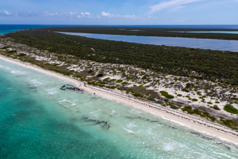 west-caicos-20-acre-beachfront-opportunity-west-caicos-turks-and-caicos-ushombi-3