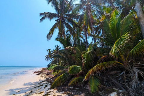 habaneros-south-6-acre-beachfront-lot-san-pedro-belize-ushombi-3