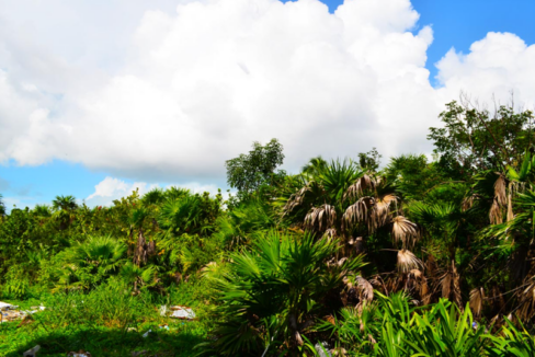 habaneros-south-6-acre-beachfront-lot-san-pedro-belize-ushombi-4