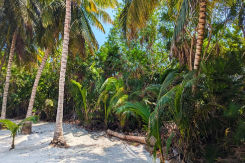 habaneros-south-6-acre-beachfront-lot-san-pedro-belize-ushombi-6