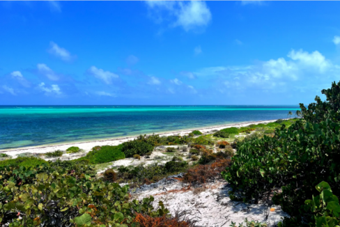 cockburn-town-oceanfront-1-91-acre-lot-cockburn-town-turks-and-caicos-ushombi-1