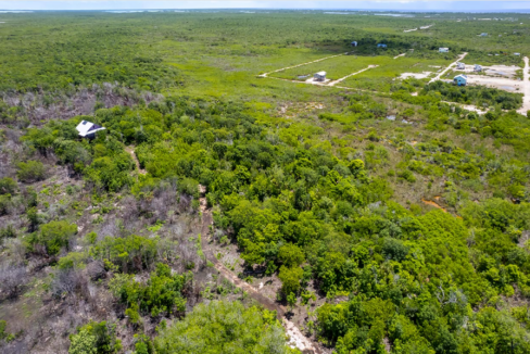 palmaya-woods-0-11-acre-opportunity-secret-beach-ambergris-caye-belize-ushombi-2