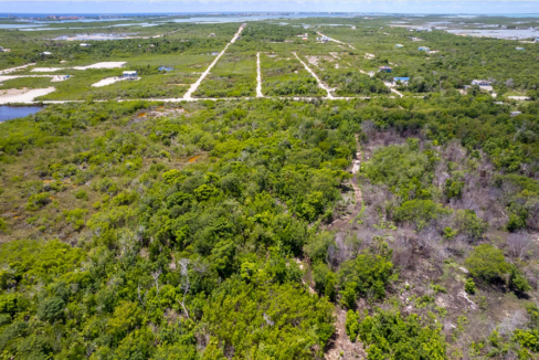 palmaya-woods-0-11-acre-opportunity-secret-beach-ambergris-caye-belize-ushombi-4