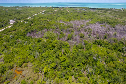 palmaya-woods-0-11-acre-opportunity-secret-beach-ambergris-caye-belize-ushombi-6