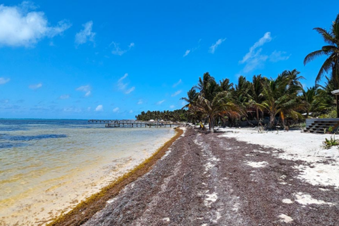 spanish-reef-0-11-acre-beachfront-lot-secret-beach-belize-ushombi-1