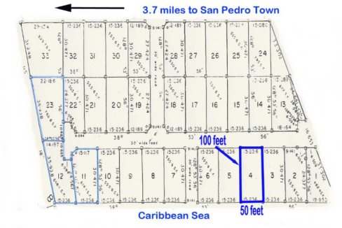 spanish-reef-0-11-acre-beachfront-lot-secret-beach-belize-ushombi-5